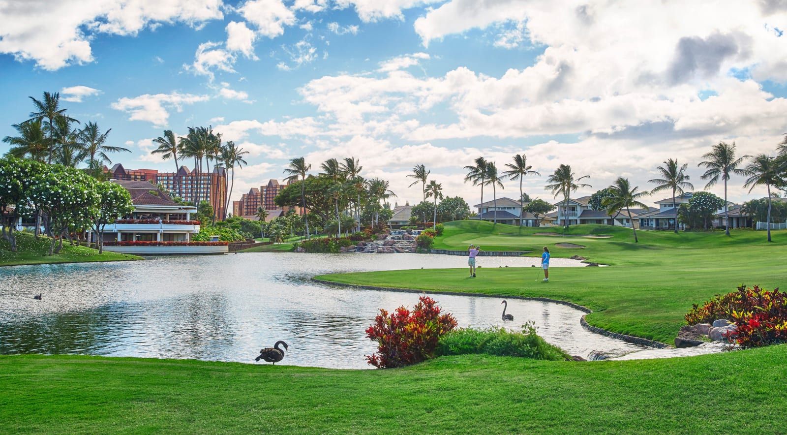 The golf course, with a pond and green beneath the palms