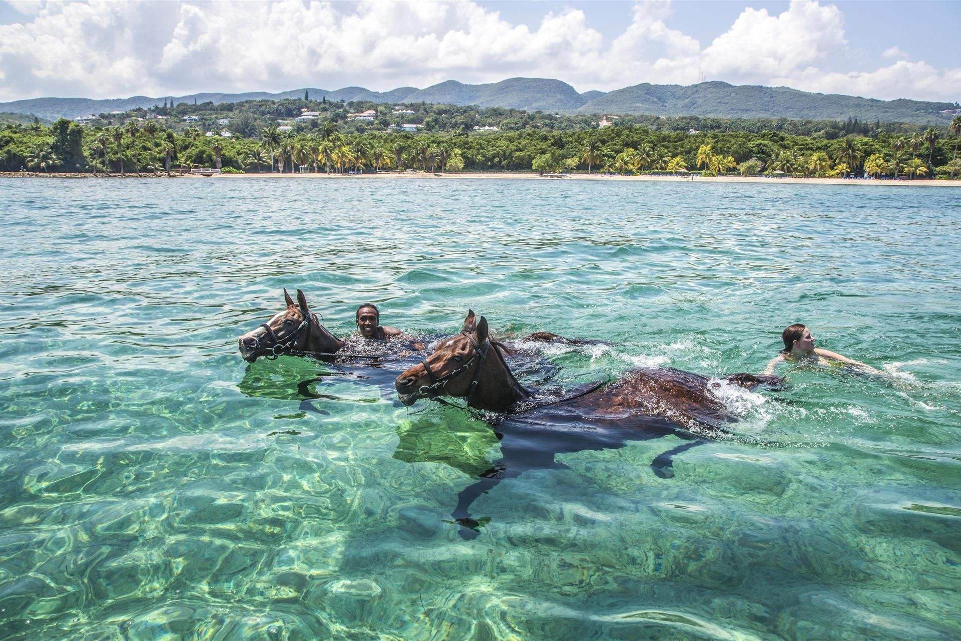 Riders swimming horses through clear turquoise water