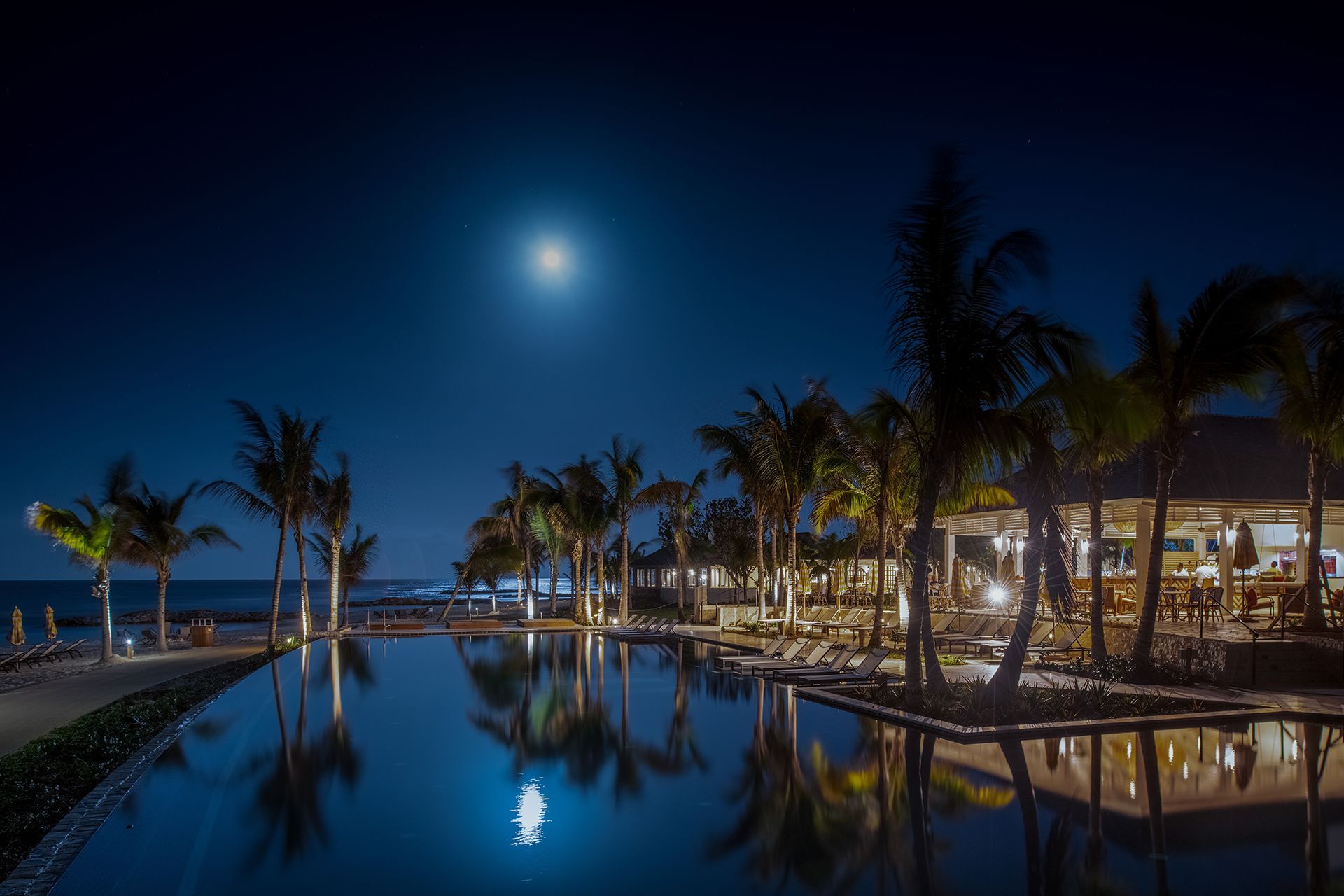 A still pool reflecting palms under the moon