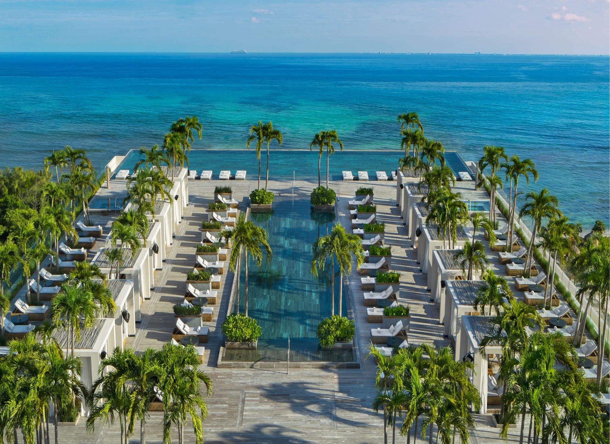The rooftop pool, lined with palms, looking straight out to sea