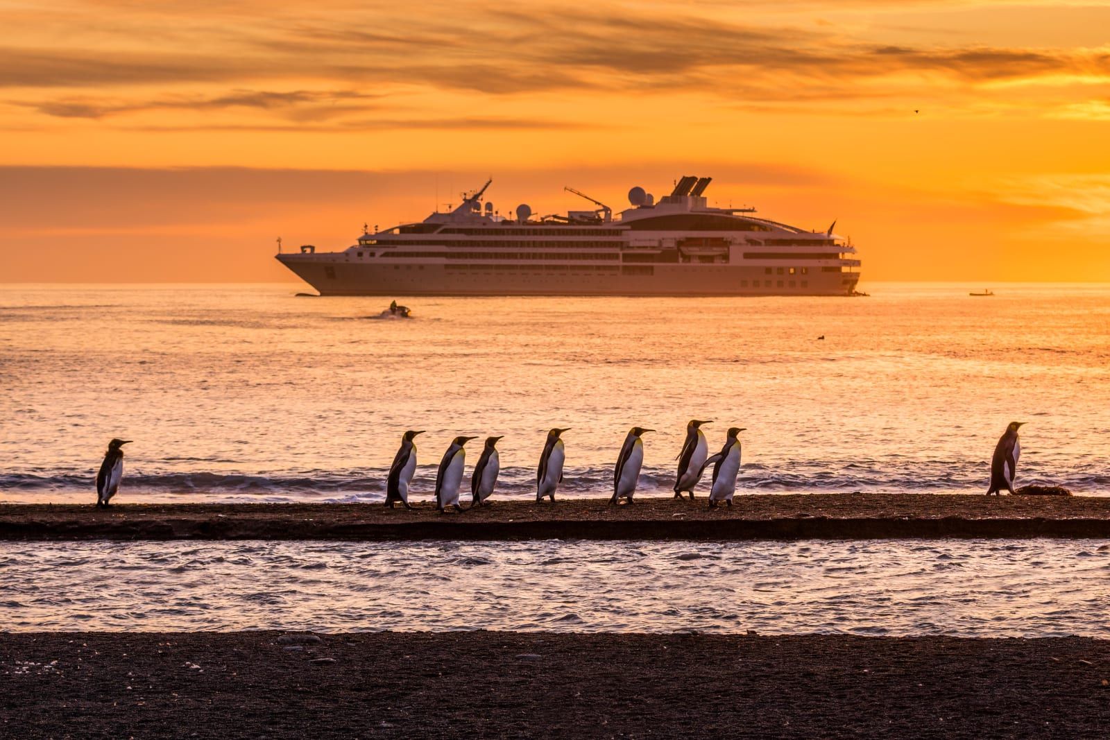 Penguins on the shore at sunset, with a PONANT expedition ship anchored beyond