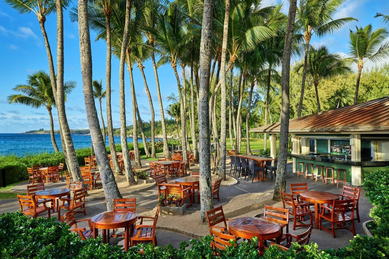 Tables set under a grove of palms at an outdoor restaurant