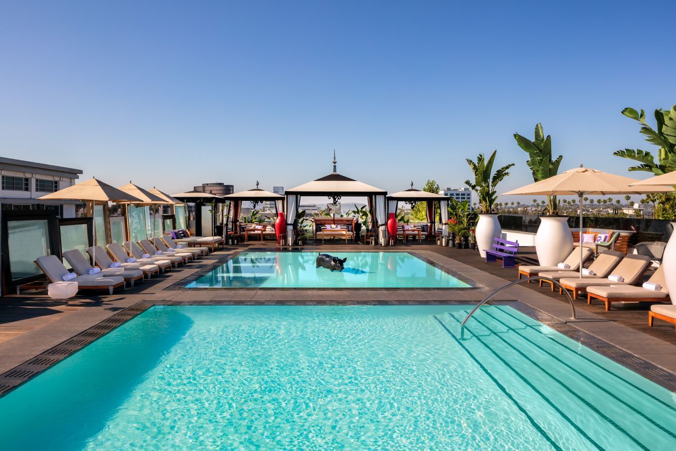 The rooftop pool, ringed by cabanas and umbrellas